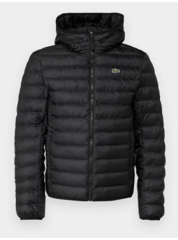 Piumino 100g lacoste